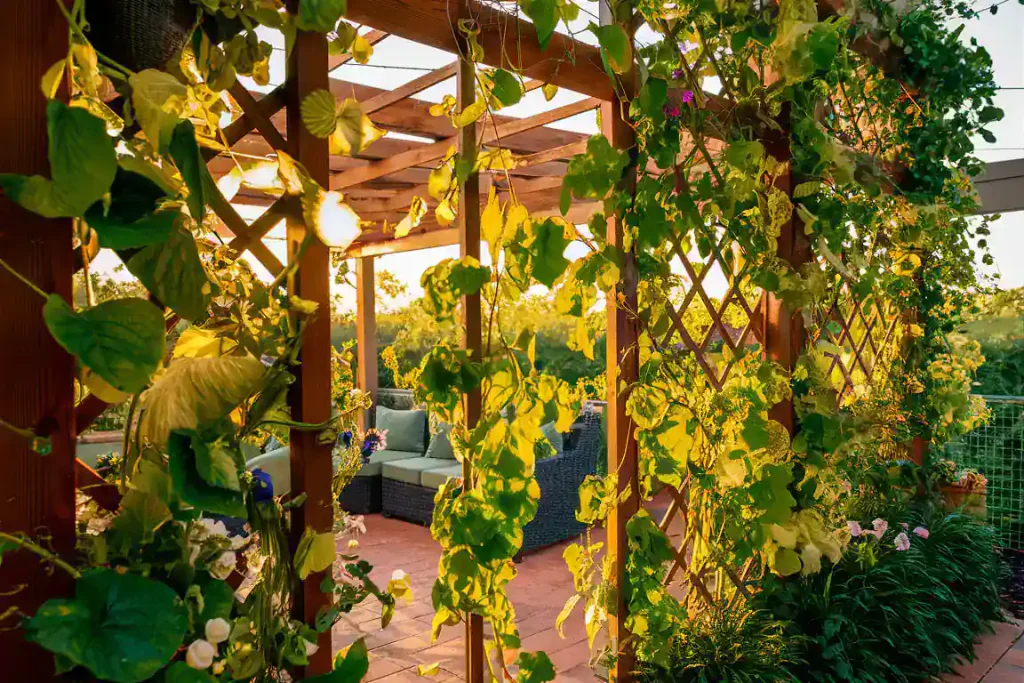 Wooden pergola with lush green vines at sunset, overlooking a cozy seating area with outdoor furniture offers a beautiful touch. Ideal for those looking to sell home as FSBO, this inviting space enhances your home's appeal naturally.