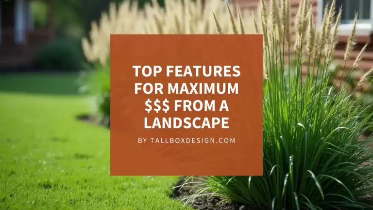 Read more about the article What landscape design brings the most value to a house?