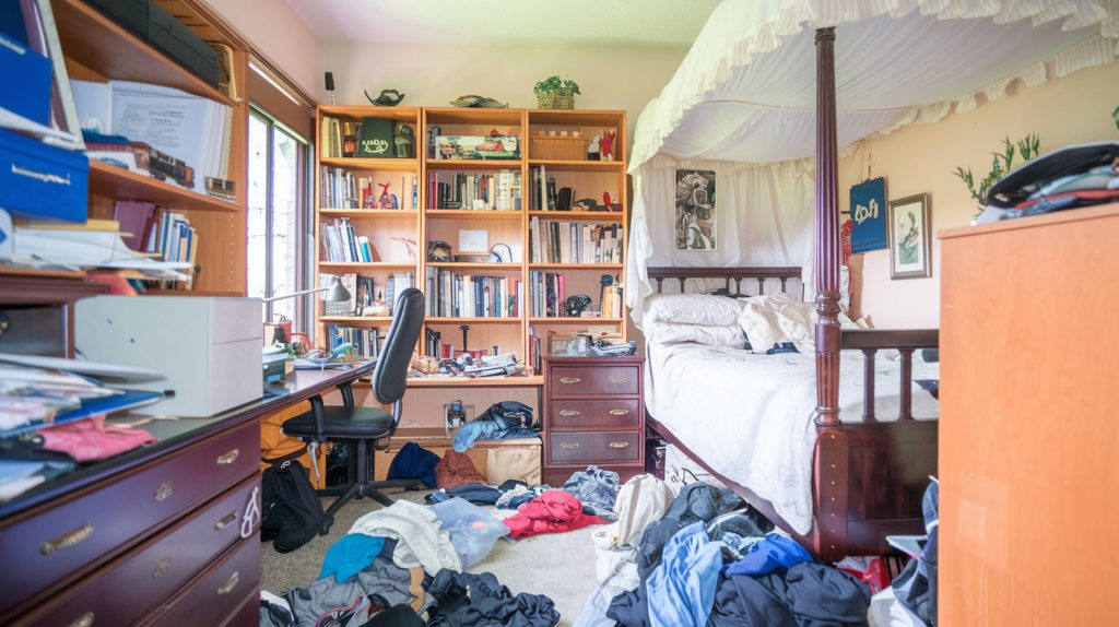 Bedroom with a canopy bed, cluttered desk, and messy clothes on the floor. For a tidier space, consider stylish home storage solutions. Bookshelves and a window complete the scene.