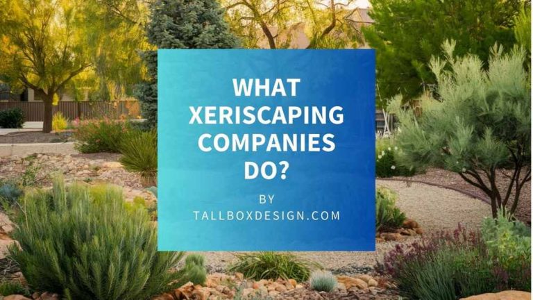 Read more about the article What Xeriscaping Companies Do?