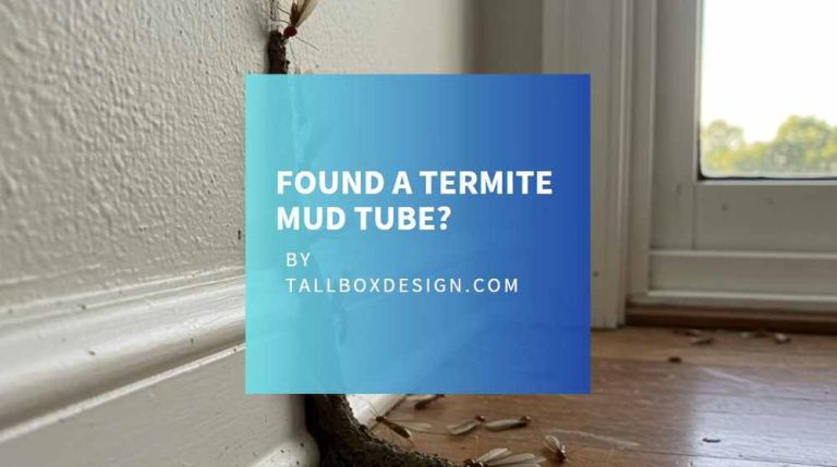 Read more about the article What to Do If You Spot Termite Swarms?